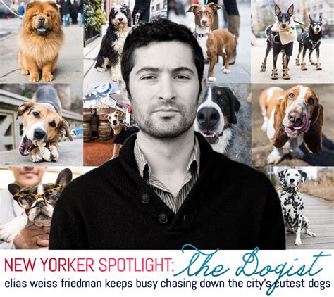 The dogist - The Dogist’s challenge is to make an interesting photo that people can inst... Elias Weiss Friedman is the photographer behind the Instagram account The Dogist. The Dogist’s challenge is to ...